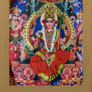 Fundraising Page: Kavita Khanna